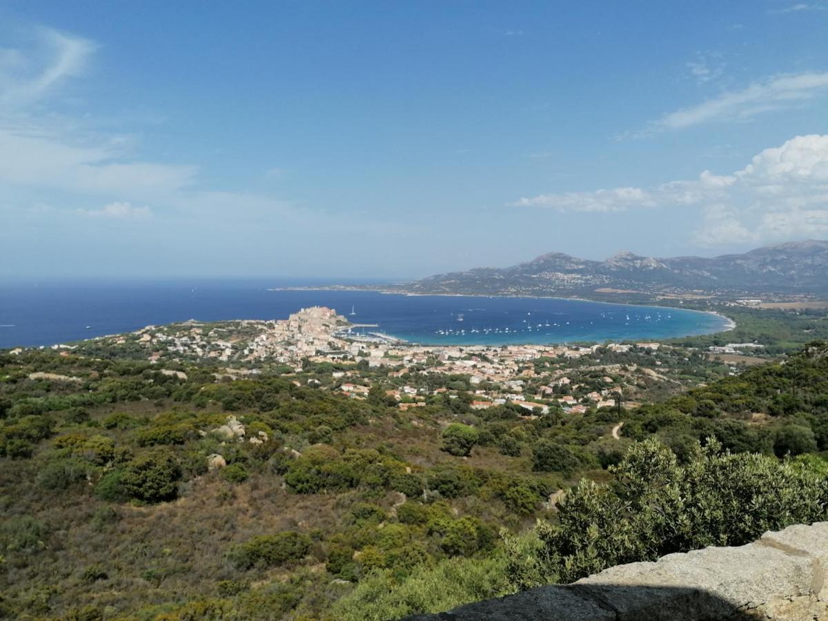 Appartement Résidence Les Eucalyptus LʼÎle-Rousse Extérieur photo